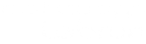 optique_lebrun_hannut_logo_Optique_lebrun_Hannut